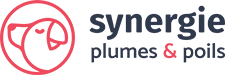 Staging Synergie